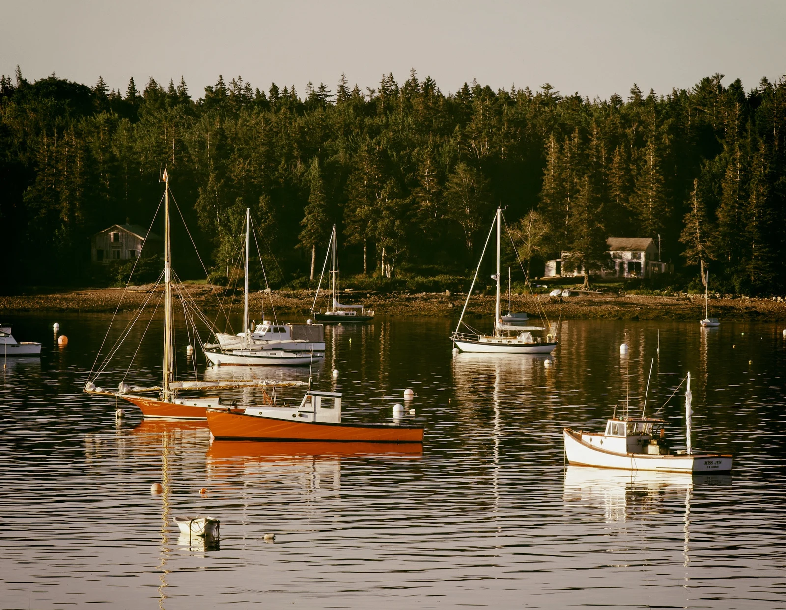 Boats in a quiet wooded Maine harbor